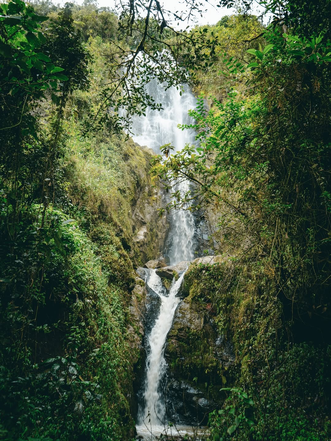 Nueva imagen
